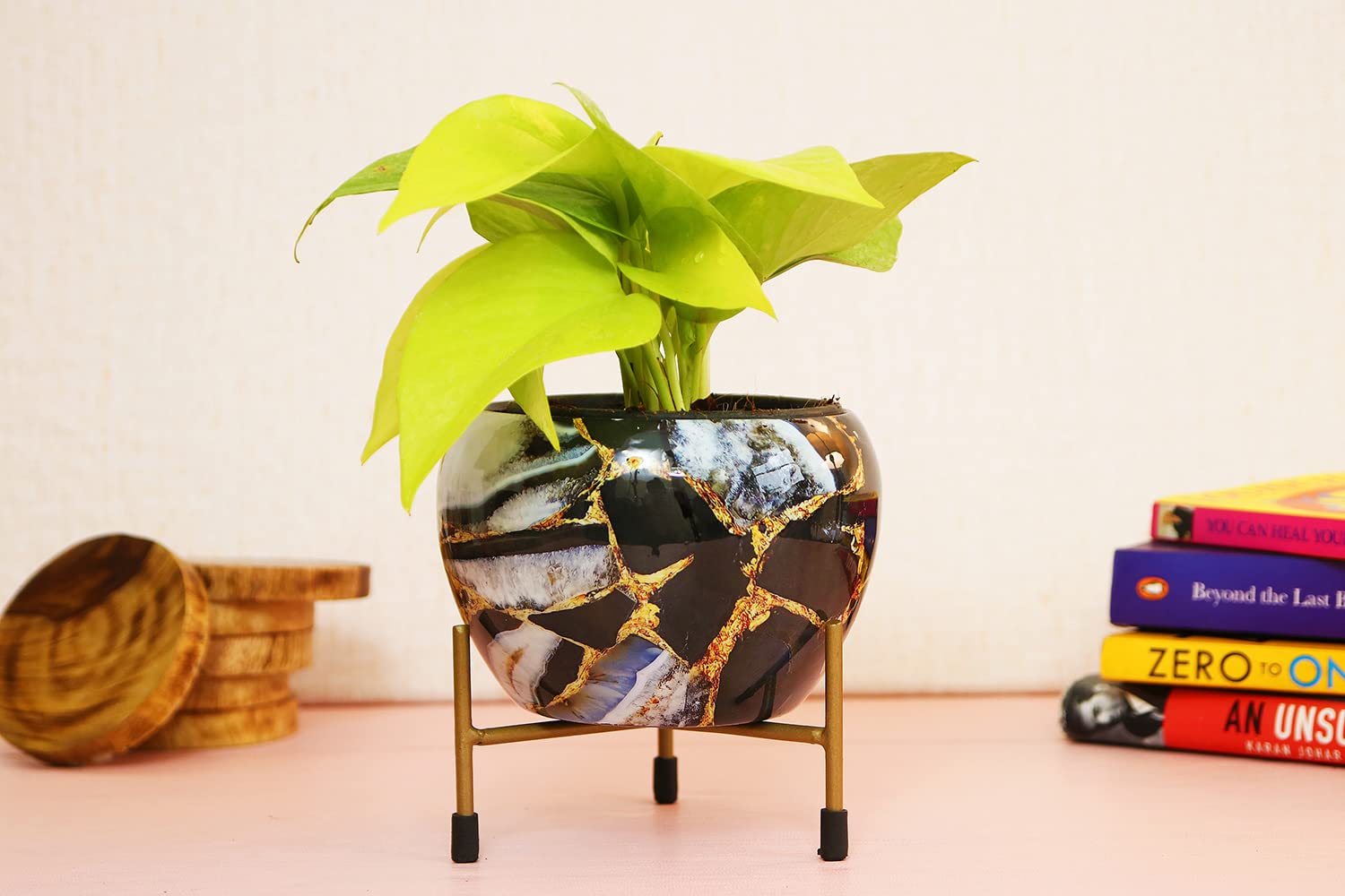 Golden 1 pothos plant with black marble metal pot