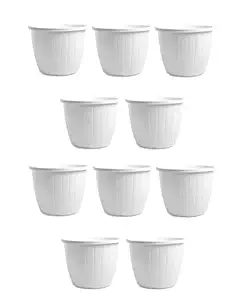 Flower Pot | Flower Pot for Gardening