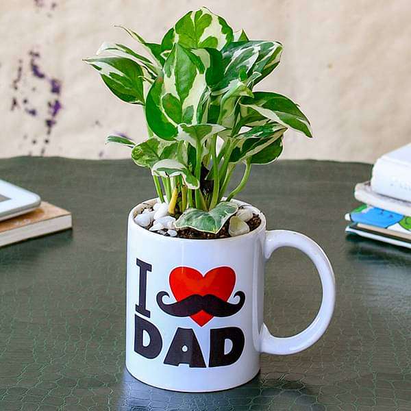 nbgfive-gifts-refreshing-money-plant-in-i-love-dad-mug-for-workaholic-dad-16969249915020_600x600