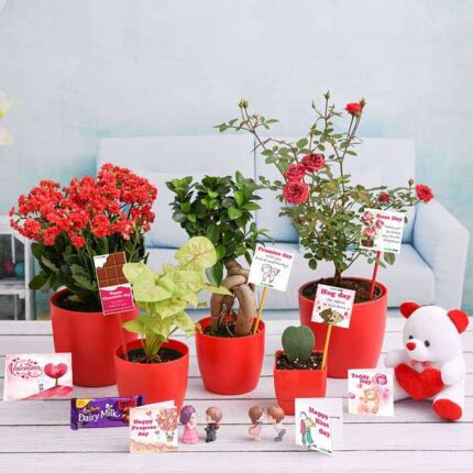 valentine week gift combo