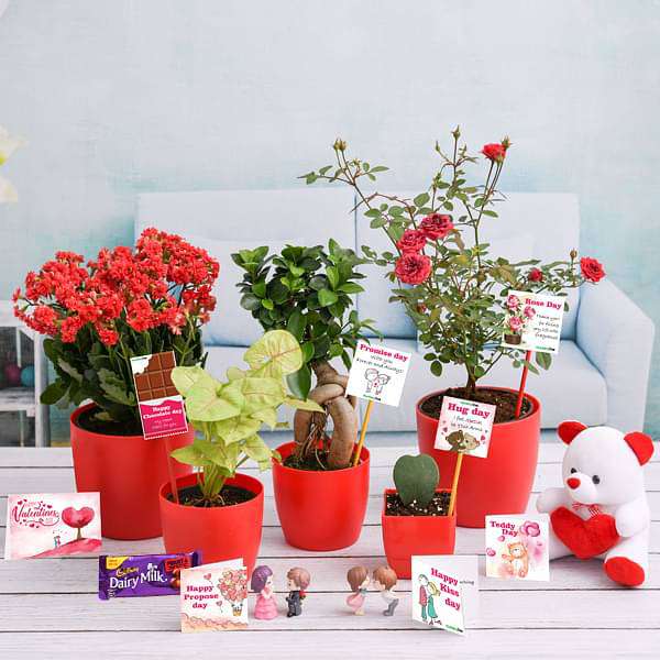 nhjje-gifts-valentine-week-gift-combo-16969413263500_600x600