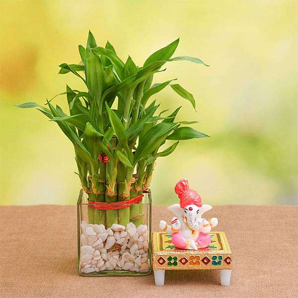 vgrylive-gifts-2-layer-lucky-bamboo-in-glass-vase-with-lord-ganesha-idol-16968447426700_600x600