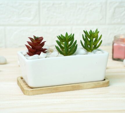 White Ceramic Pots For Plants , Succulent Pot, Succulent Planter, Rectangular Pots For Plants, White Pots For Plants - with Wooden Plate 8 x