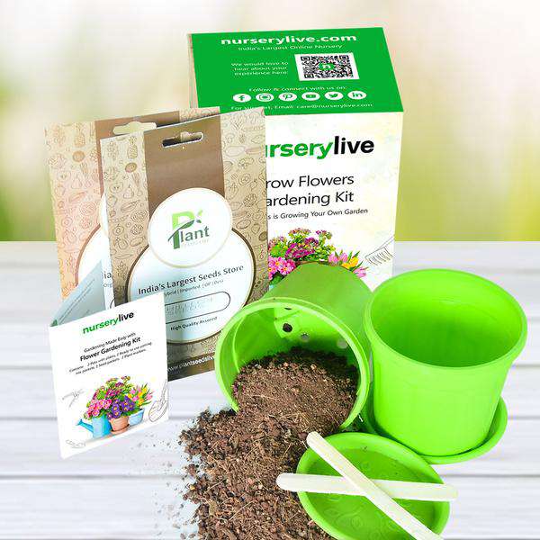 gdj-gardening-made-easy-with-flower-gardening-kit-1_6ad379ac-32eb-4f62-8d54-18c830fb91b0_600x600