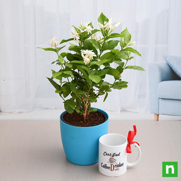tre-gifts-mogra-plant-with-mug-for-coffee-lover-dad_600x600