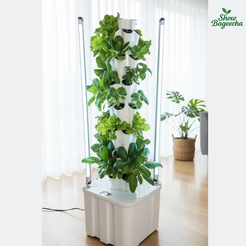 Hydroponics_ShowBageecha Hydroponics Indoor