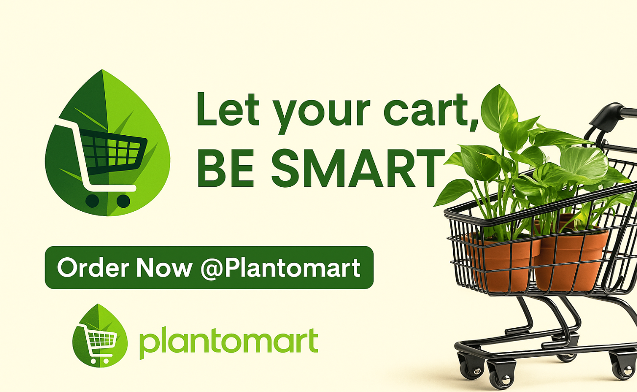 Wholesale Plants Nursery