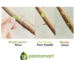 Plant care hyderabad