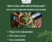 Wholesale Plants Nursery
