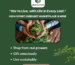 Wholesale Plants Nursery