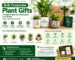 Corporate Plant Gifts