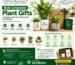 Corporate Plant Gifts