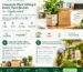 Corporate Gifting Plants