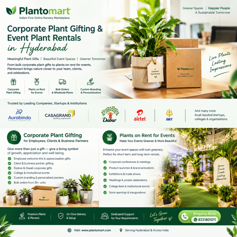 Corporate Gifting Plants